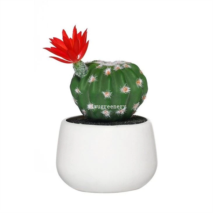 Mini Assorted Artificial Cactus Plants