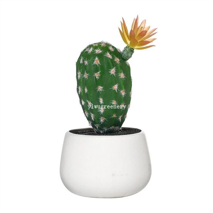 Mini Assorted Artificial Cactus Plants