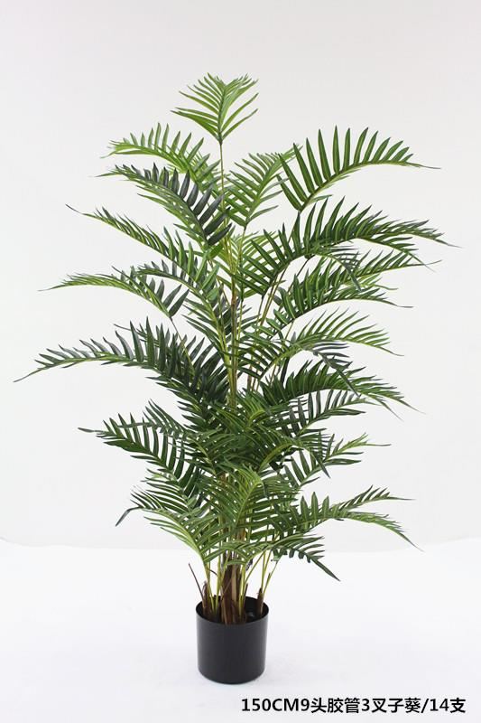 Plant simulation apwopriye pou sal k ap viv