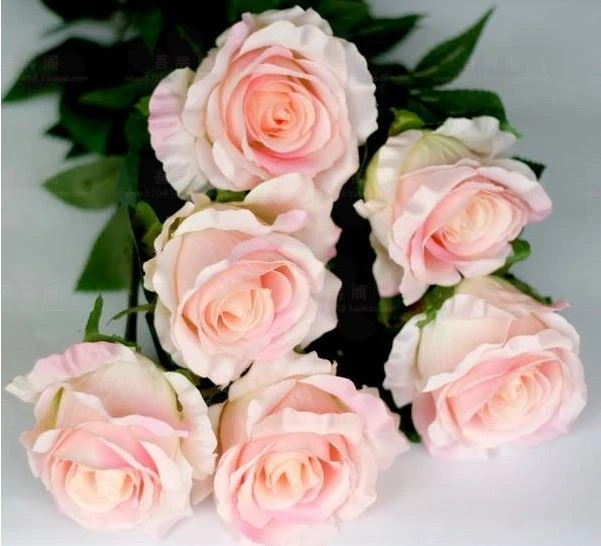 Ki sa ki Rose atifisyèl