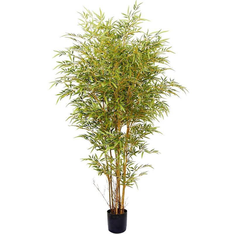 Ki sa ki tandans devlopman nan lavni nan plant simulation