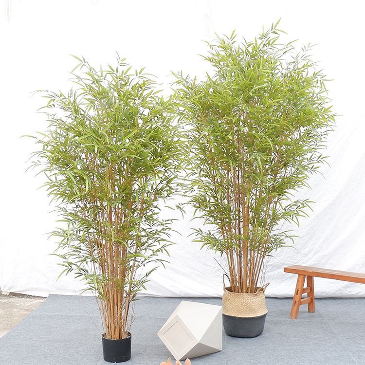 Ki karakteristik yo nan banbou simulation