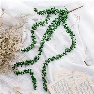 Sukulan atifisyèl pandye plant yo