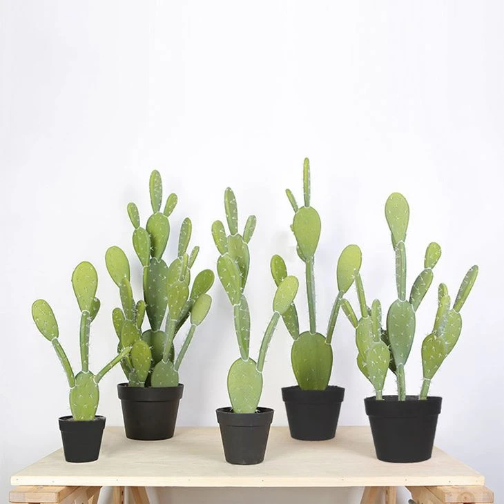 Plant atifisyèl kaktis an po