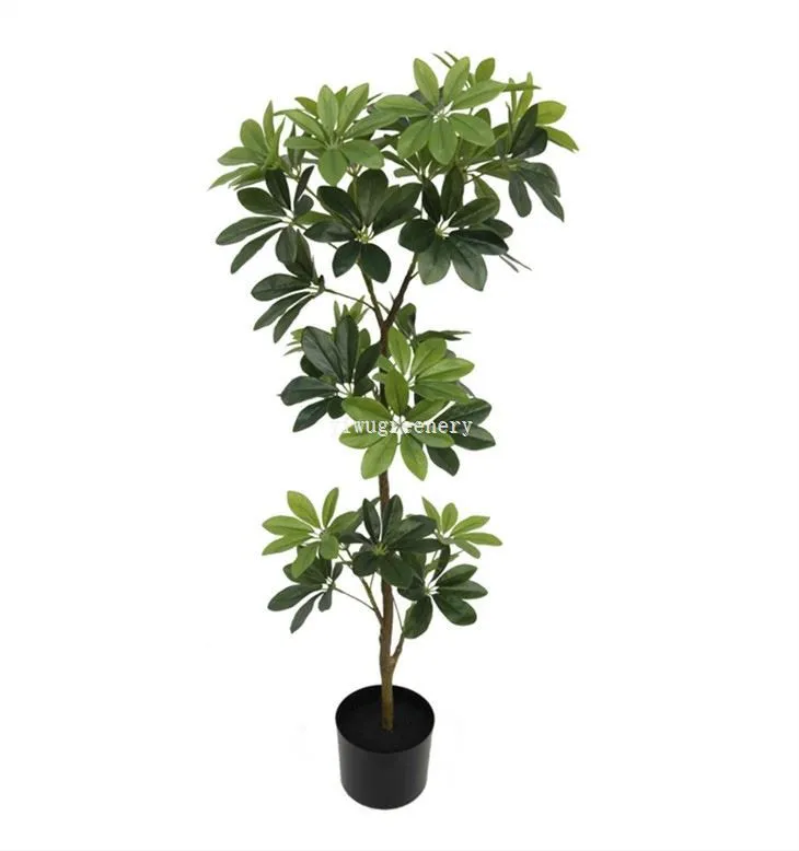 money tree artificial
