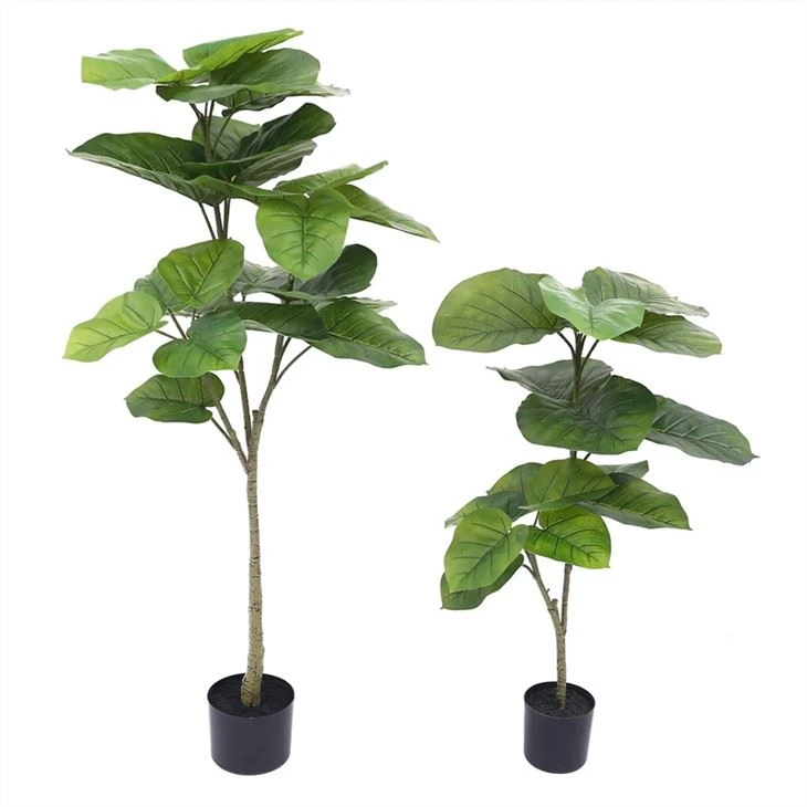 Fo Potted pye bwa Fiddle